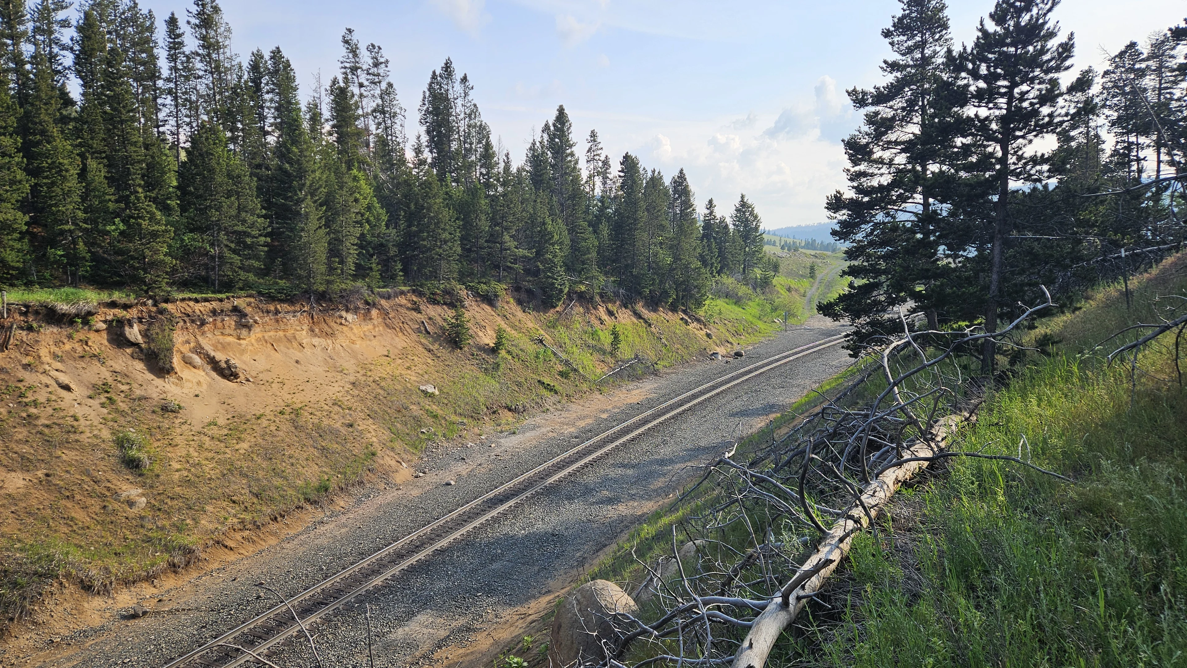 Looking west towards Missoula